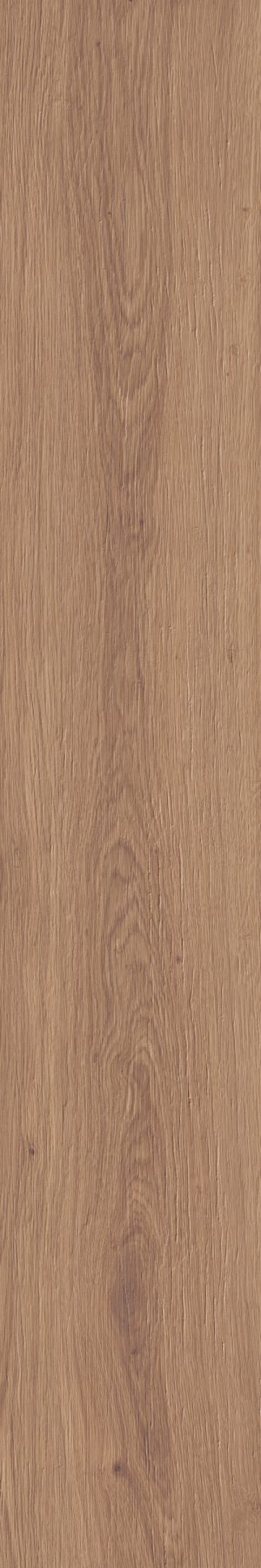 ELISIR  Bruno 20x120cm Strutturata Rett. hr. 9mm