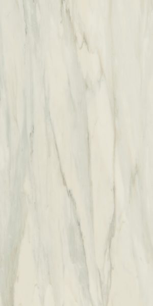 FOYER ROYAL Delicate 60x120cm Nat. Rett. hr.9mm