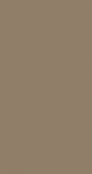 PLAY  Greige  30x60cm Rett.