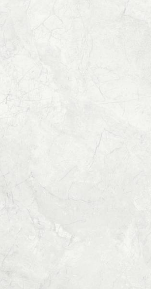 RIVER White 40x80cm Lucido Rett. RIVER White 40x80cm Lucido Rett.