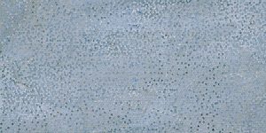 JEWEL Evolution  Blue  Decoro 60 x 120 cm Levigato Rett.