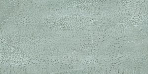 JEWEL Evolution Grey   Decoro 60 x 120 cm Levigato Rett.