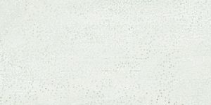 JEWEL Evolution  White   Decoro 60 x 120 cm Levigato Rett.