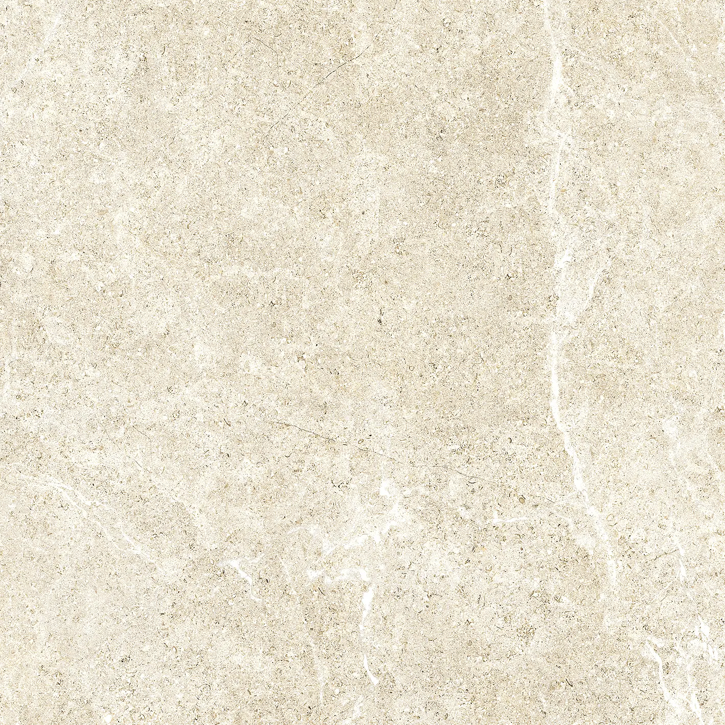 HOLYSTONE White 61x61cm Nat. Rett. HOLYSTONE White 61x61cm Nat. Rett.