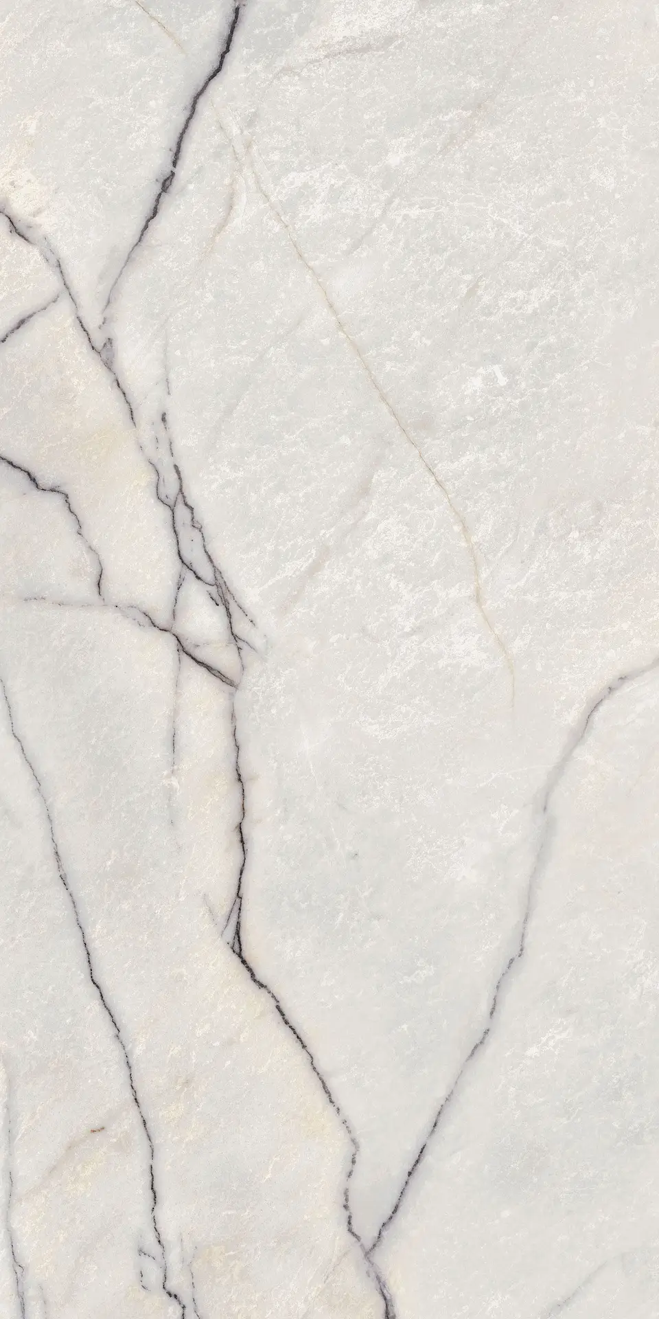 SUPREME TREASURE Greylac Platinum 60x120cm LUX Rett. 8,5mm SUPREME TREASURE Greylac Platinum 60x120cm LUX Rett. 8,5mm