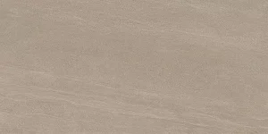 ELEGANCE PRO Taupe  Shield  60x120cm Nat. Rett. 9,5mm