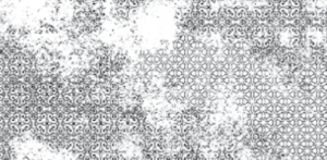 NUANCES   Sage Decoro Lace 30x60cm Nat. Rett.  9mm