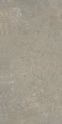 ARKISTYLE  Fossil    60x120cm Nat. Rett. 9mm