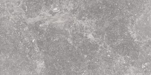 UNIQUE BLEU  Gris Ancienne  60x120cm Nat. Rett. 9,5mm