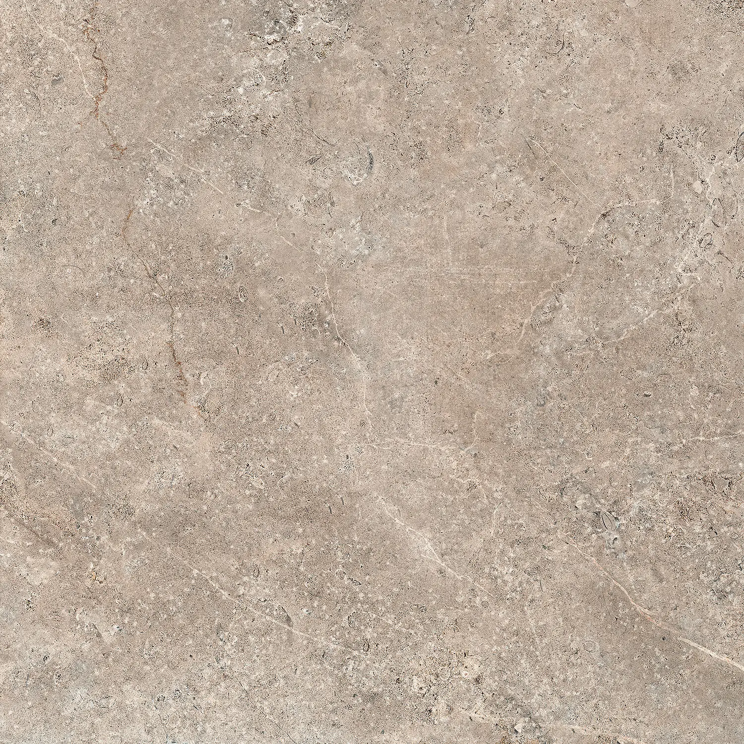 LANDSTONE Taupe 100x100cm Rett. 9mm LANDSTONE Taupe 100x100cm Rett. 9mm