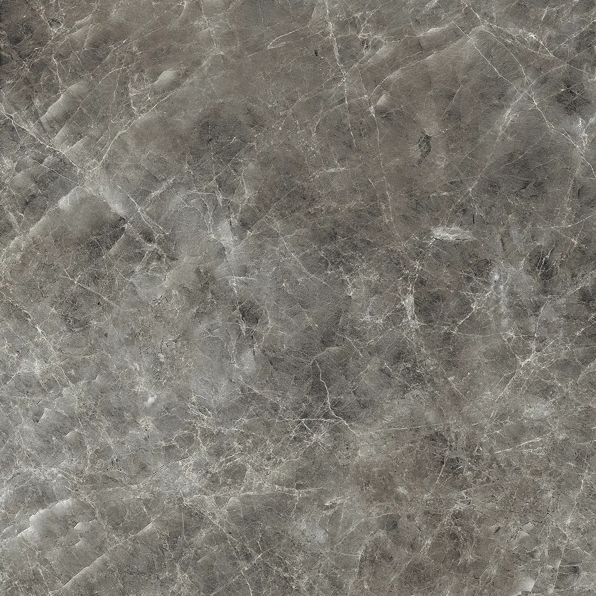 IMPERIAL MICHELANGELO Grigio Visone 60x60cm Levigato Rett. IMPERIAL MICHELANGELO Grigio Visone 60x60cm Levigato Rett.