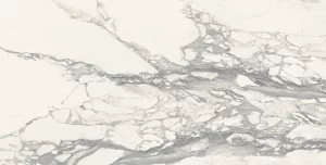 IMPERIAL MICHELANGELO  Bianco Arabescato  60x120cm Naturale Rett.